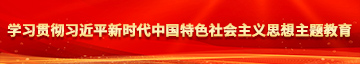 可以操美女的B高清在线学习贯彻习近平新时代中国特色社会主义思想主题教育